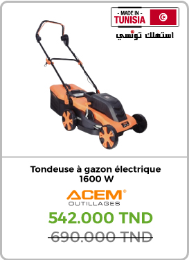 Tondeuse à gazon électrique ACEM - Moteur à induction TI160 Watt