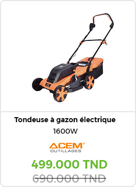 tondeuse-a-gazon-electrique-acem-moteur-a-induction-ti160-watt