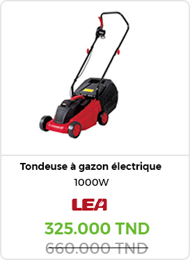 tondeuses-a-gazon-lea-electrique-1000-w-32-cm-lea