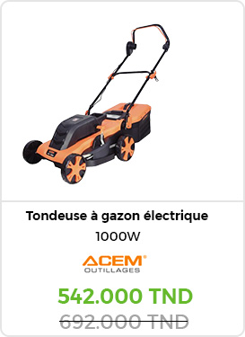 tondeuse-a-gazon-electrique-acem-moteur-a-induction-ti160-watt