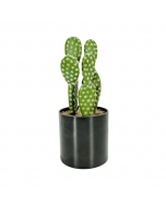 Plante Artificielle - avec pot en plastique - 27 X 10.5 Cm