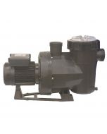 Pompe piscine ASTRALPOOL 65562 - Polypropylène - Noir 