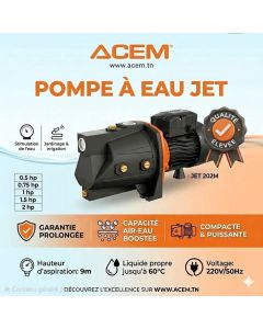 ACEM POMPE A EAU 2CV 220V JET202