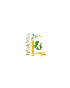 BioHerbs Ginkgo Biloba 60 Gélules - Mémoire & Concentration