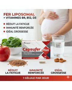 FARMAVANS Capsufer 30 Gélules - Complément Fer - Boticinal