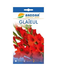 SACHET GLAIEUL ROUGE BADDAR