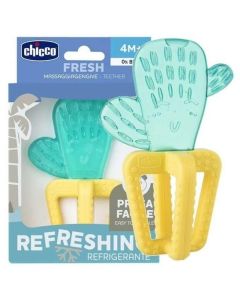 Anneau de Dentition Rafraîchi Cactus 4M+ - Chicco - Gencives