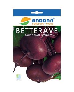 SEMENCE BETTERAVE BADDAR - Prix Tunisie | Arkan.tn