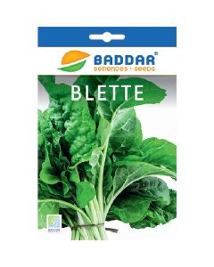 SEMENCE BLETTE 30G BADDAR