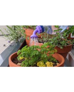 Bouchon de bouteille d’arrosage