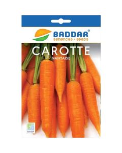 SEMENCE NANTAISE 30G BADDAR