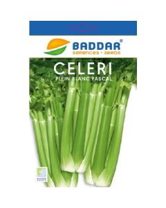 SEMENCE CELERIE 20G BADDAR