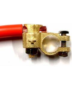 COSSE BATTERIE + SOPAL TN positive