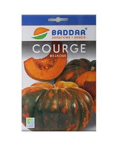 SEMENCE COURGE BEJAOUI BADDAR