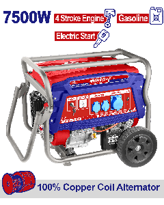 Groupe electrogene 220v ess 7,5kva emtop  EGGRD7511