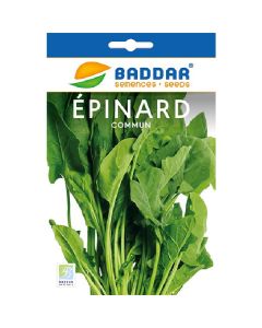 SEMENCE EPINARD COMMUN 20G BADDAR