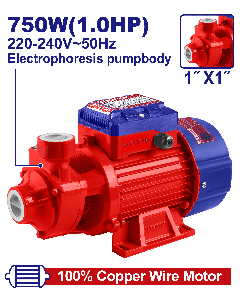 Electropompe 1cv 1"h52m 50l/mn emtop  EWPPV07501