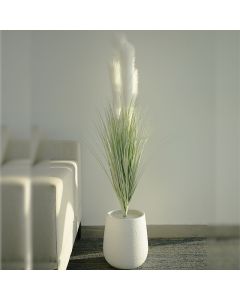 Plante Artificielle Pampa - Arkan Bloom -19-1 - Blanc - Pot Céramique