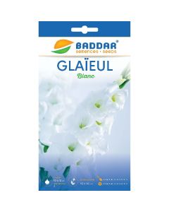 Glaïeul Blanc - Prix Tunisie | Arkan.tn