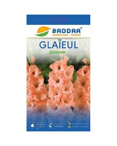 SACHET GLAIEUL SAUMON BADDAR