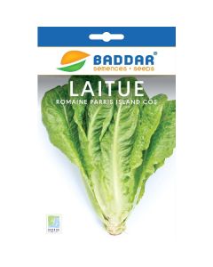SEMENCE LAITUE ROMAINE 2G BADDAR