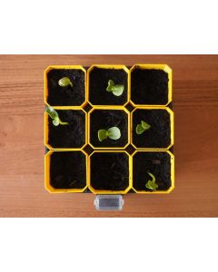 Bac à semis – jusqu’à 9 pots à la fois