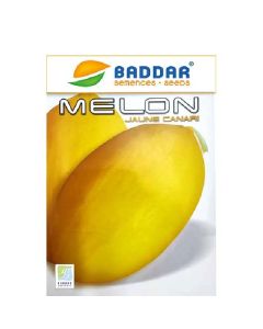 SEMENCE MELON JAUNE CANARI BADDAR