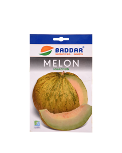 SEMENCE MELON MAAZOUN BADDAR