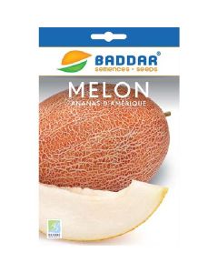 Melon Ananas Amerique - Prix Tunisie | Arkan.tn