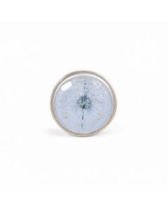 Ampoule LED POOL STAR Blanc - PAR 56  25W