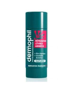 Dermophil Stick Lèvres Abîmées - Réparation Intense | Boticinal