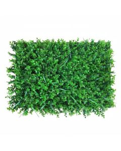 Pack murs végétaux Buis panaché - 60x40 cm - 10 pièces