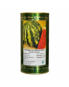 Pastèque Crimson Sweet - 500 g