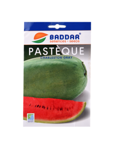 SEMENCE PASTEQUE CHARLESTON BADDAR