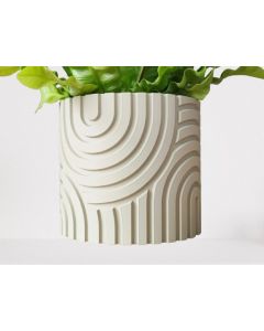 Pot de plantes & fleurs