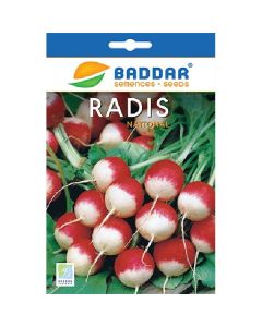 Semence Radis National Baddar - Prix Tunisie | Arkan.tn