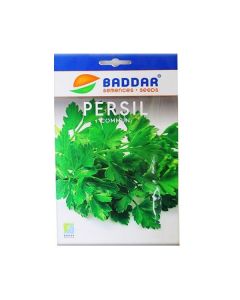 SEMENCE PERSIL COMMUN BADDAR
