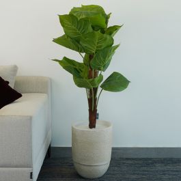 Plante Artificielle Alocasia Tropicale - Arkan Bloom - 11-18PM - Pot Beige