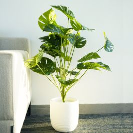 Plante Artificielle Monstera - Arkan Bloom - 11-1B - Vert - Pot Blanc