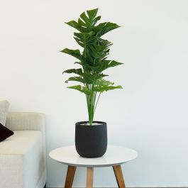 Plante Artificielle Monstera - Arkan Bloom - ARKPRO-11-1N - Pot Noir