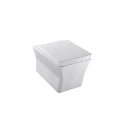 Cuvette suspendue JACOB DELAFON - BLE481100 - REVE – 56x36,5cm