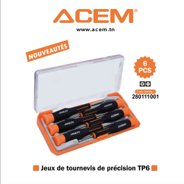 ACEM - JEUX DE TOURNEVIS PRECISION (6PCS) TP6