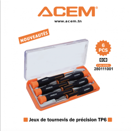 ACEM - JEUX DE TOURNEVIS PRECISION (6PCS) TP6