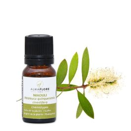 Huile Essentielle de Niaouli 10 ml - Almaflore - Pure & Naturelle