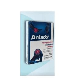 Antador Boîte de 15 - nan - Vitalité & Énergie