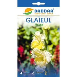 SACHET GLAIEUL  JAUNE BADDAR