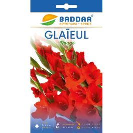 SACHET GLAIEUL ROUGE BADDAR