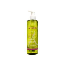 Amdere Gel Nettoyant Purifiant 250ml - Peaux Mixtes à Grasses