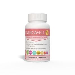 Nan Energiwell 30 Gélules - Vitalité & Énergie - Boticinal