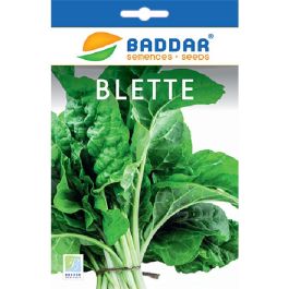 SEMENCE BLETTE 30G BADDAR